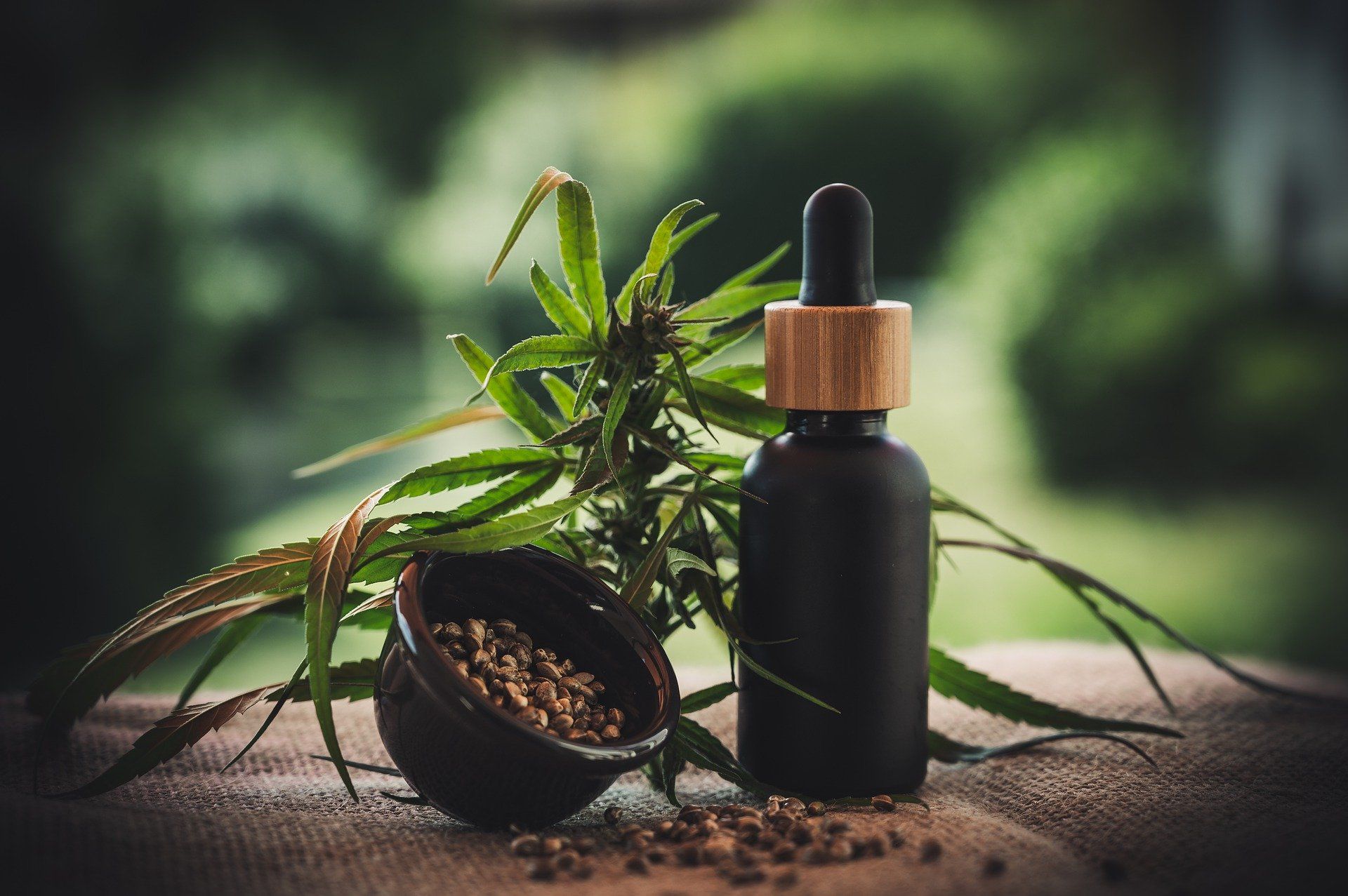 hemp-leaves-seeds-and-oil-dropper-in-shallow-focus